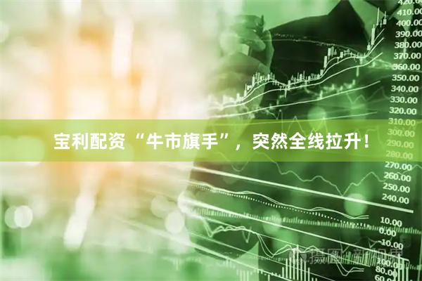 宝利配资 “牛市旗手”，突然全线拉升！